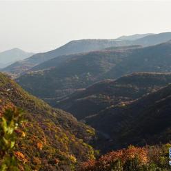 龙山秋意浓