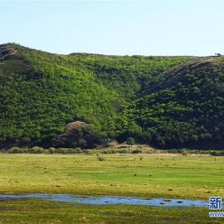 内蒙古草原陆续进入返青期