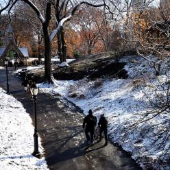 纽约：中央公园首场雪景迎游客