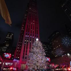美国纽约洛克菲勒中心点亮圣诞树