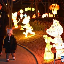 北京：彩灯璀璨迎新年