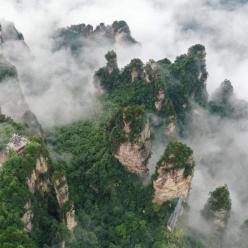 云起峰林间