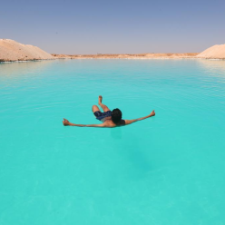 埃及锡瓦绿洲的盐湖