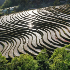 陕西岚皋千亩古梯田探访记