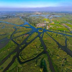 江苏盐城：九龙口湿地生态美