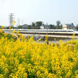 花香伴列车