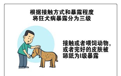 两部门印发狂犬病暴露预防处置工作规范