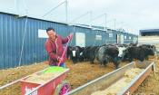“满分”压公麻 处处“气象新” ——“乡村行 看振兴”系列报道⑧
