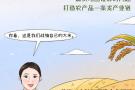 【大国新村：沿着总书记的足迹】手绘 | 四川战旗村：公园城市的乡村表达