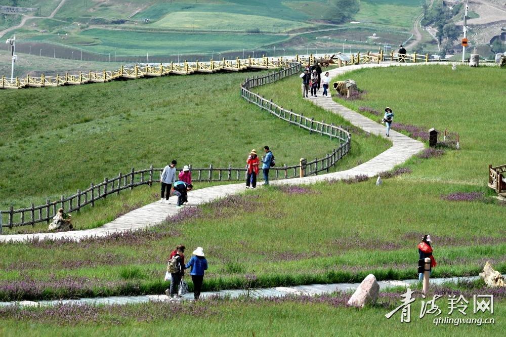 天境祁连：景色壮丽  游人如织