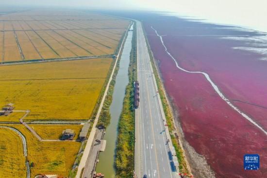 盘锦：大美湿地城市