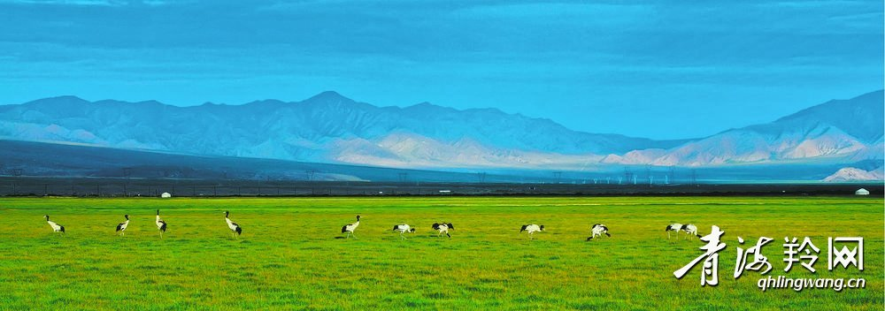 都兰湖国家湿地公园风景如画