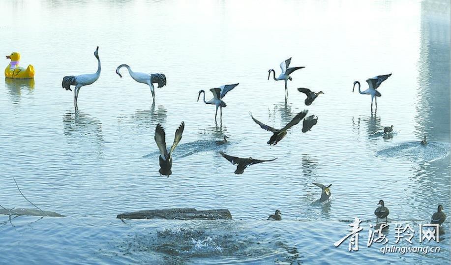 晨曦中的水际公园美如仙境