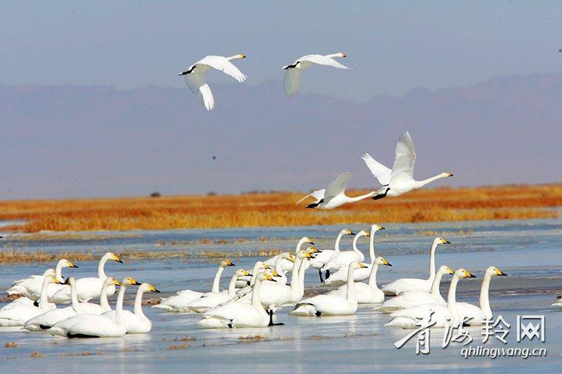 微信图片_20221124115942(10325102)-20221219092653.jpg