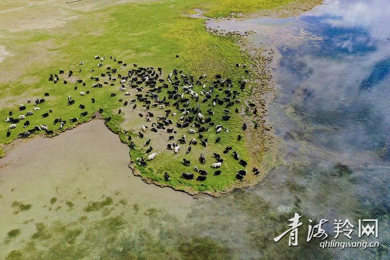 微信图片_20221124115955(10325128)-20221219092724.jpg