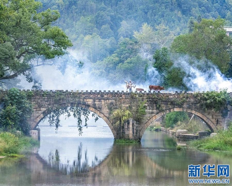 赣南古村 春色撩人