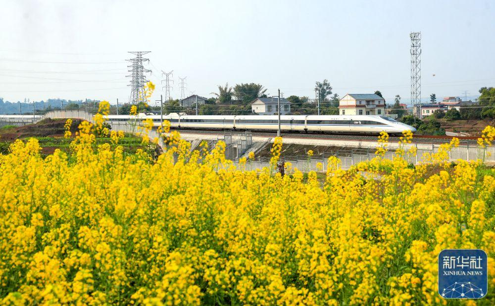 花香伴列车