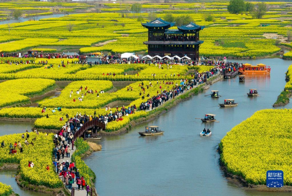 江苏兴化：千垛花海画中游