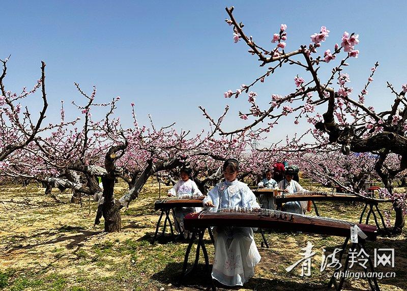人间四月天 相约“桃花源”