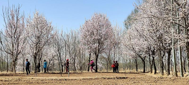 （专刊副刊中心用）4月27日8版配图(11029001)-20230427094559.jpg