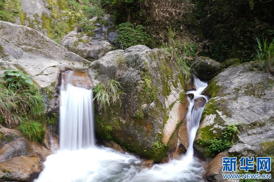江西乐安：初夏游金竹 观瀑布享清凉