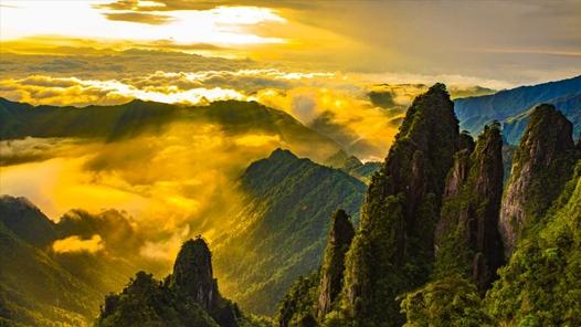 热烈一夏|与其向往不如出发·珍奇莽山