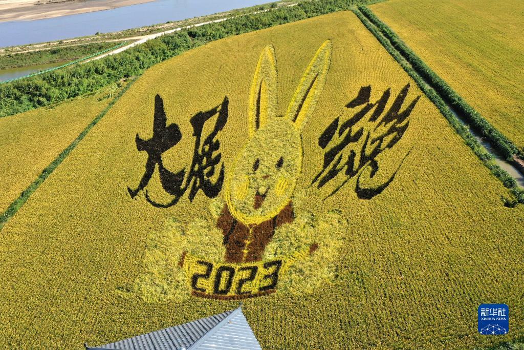 多彩稻画