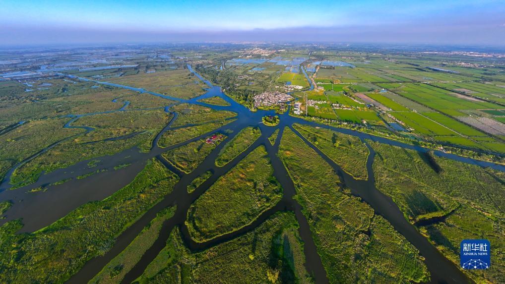 江苏盐城：九龙口湿地生态美