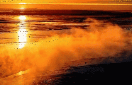青海湖泉湾湿地：雾气笼罩如仙境
