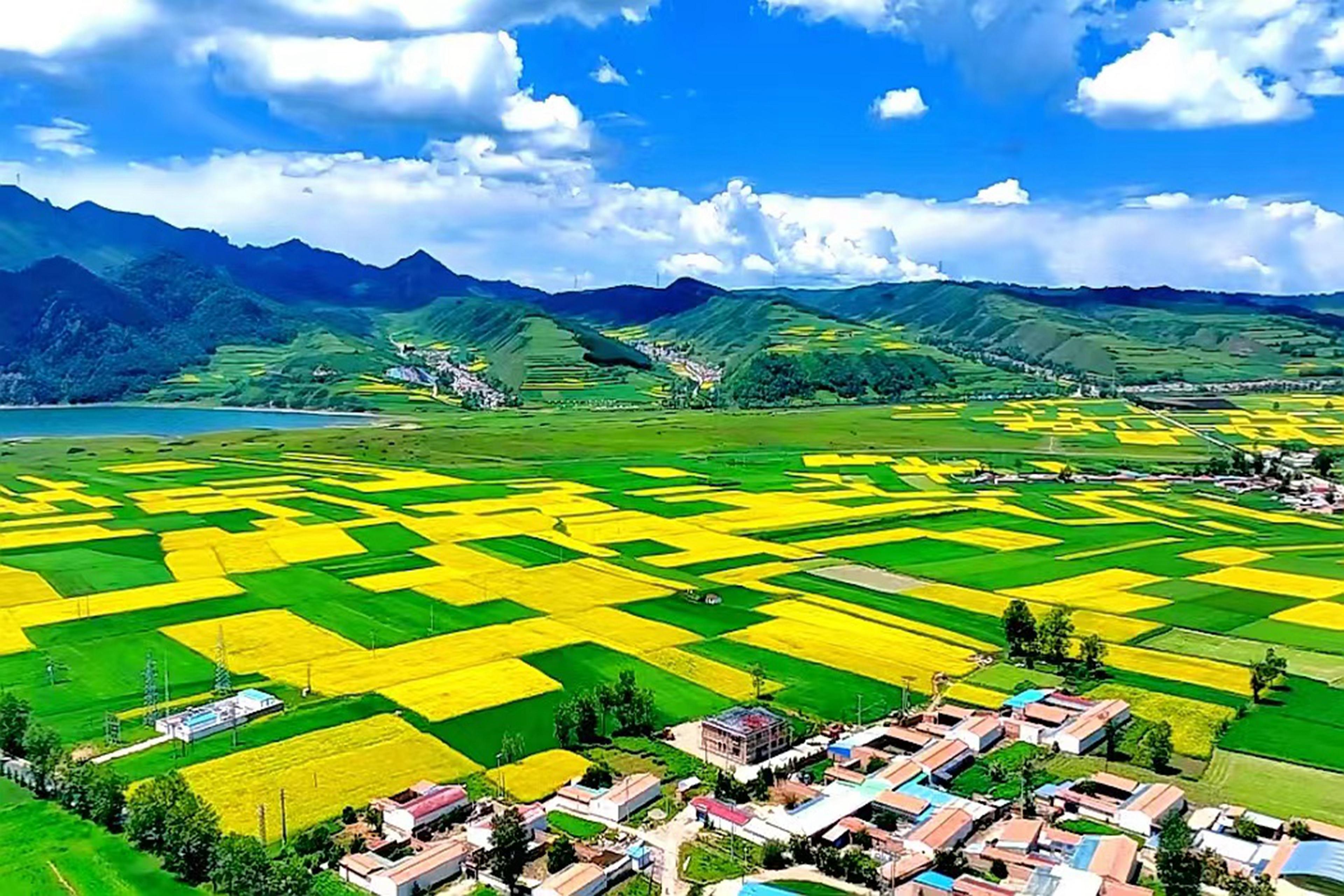 互助：大地“工笔”绘彩绸