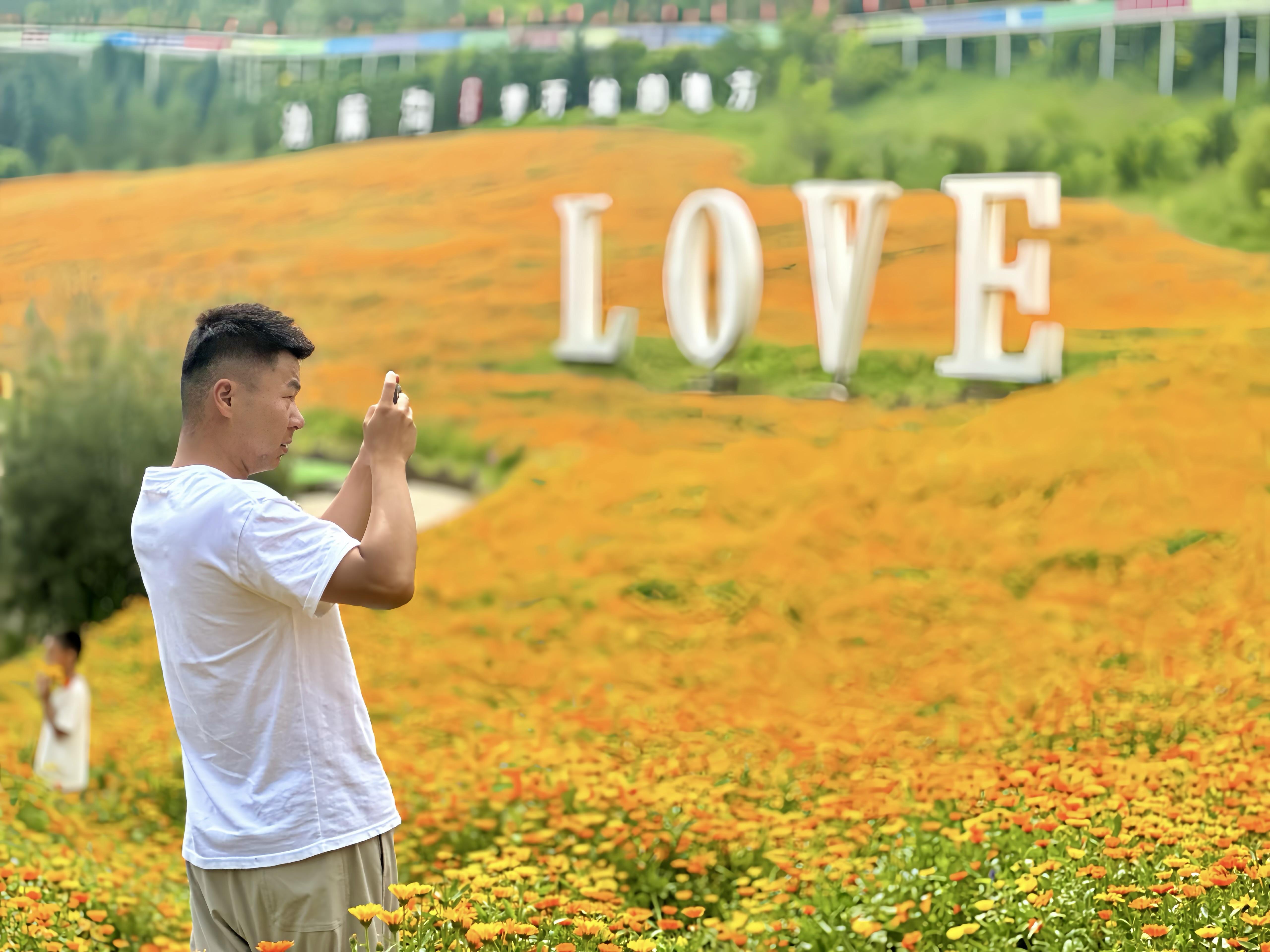 魅力花海引客来