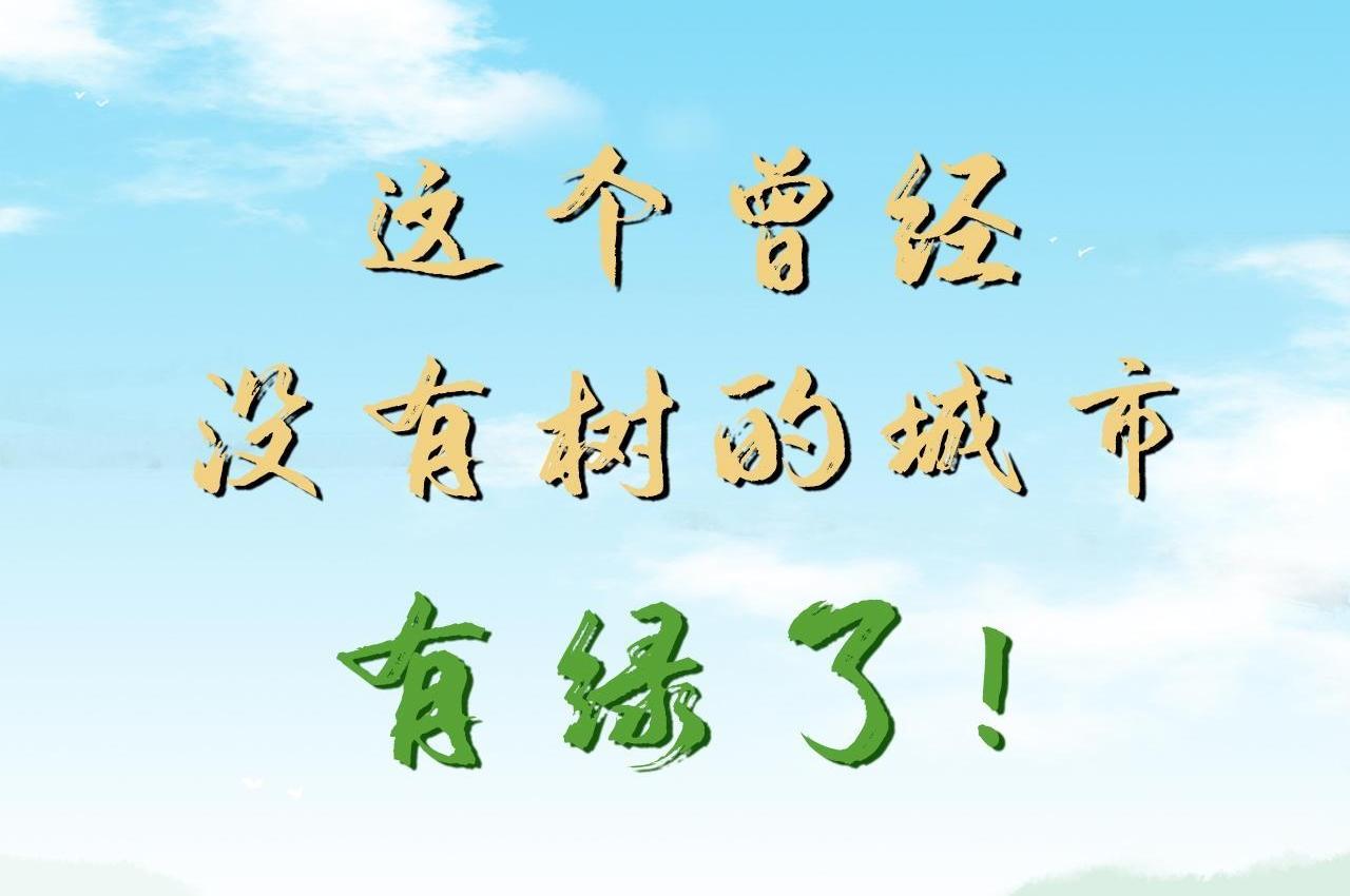 这个曾经没有树的城市，有绿了！