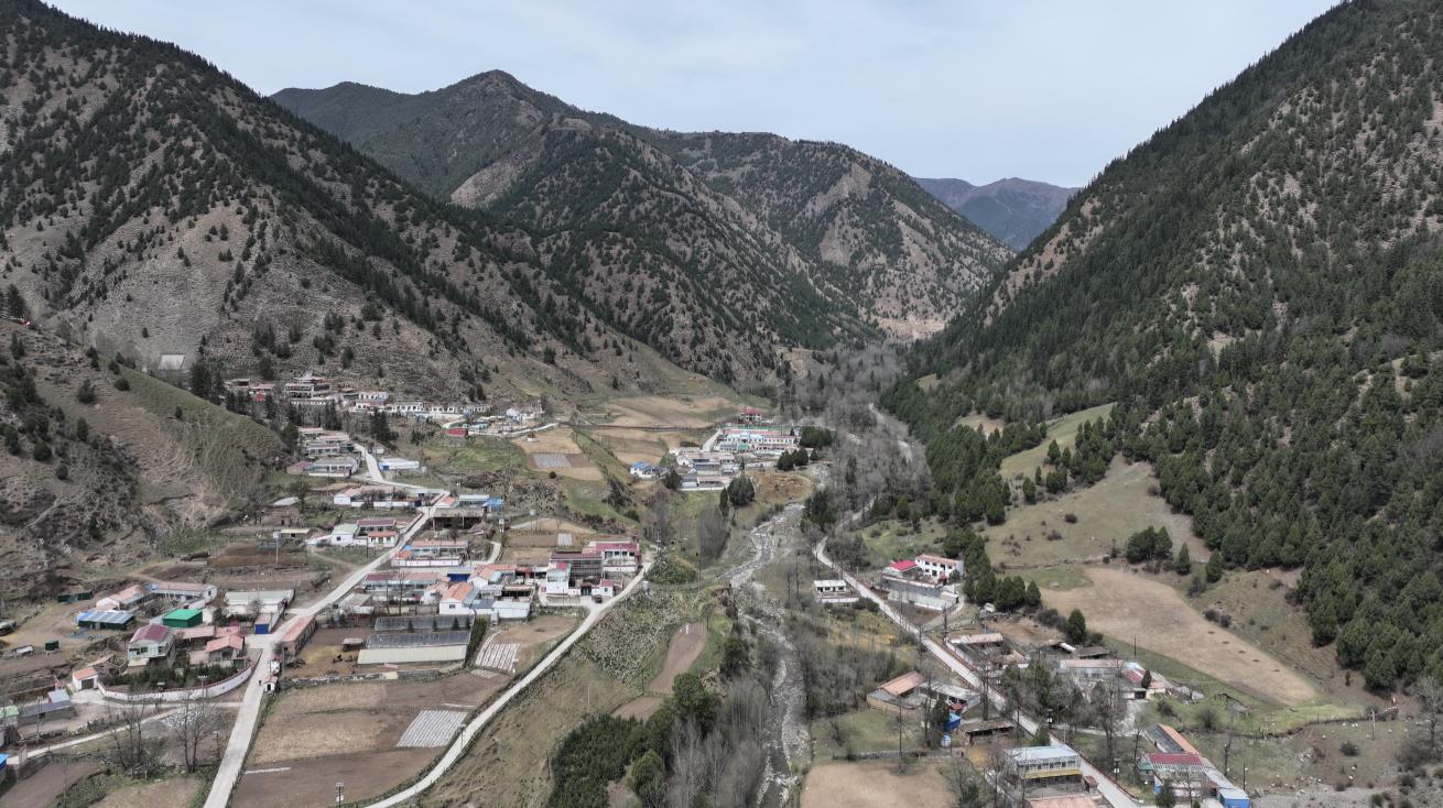 守护祁连山——青海改革样本观察·祁连山国家公园（上）