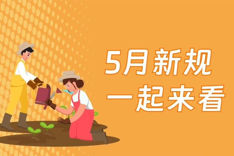 新华社权威快报|5月新规，一起来看！