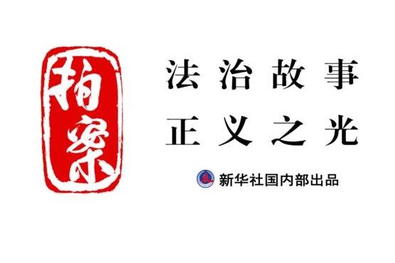 拍案丨巧设网者终自缚 跨省护鸟机制织密“法网”