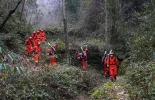 新春走基层|春节期间的山林卫士