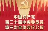 一图读懂丨进一步全面深化改革总目标