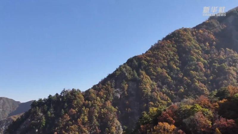 青海循化：碧水如镜秋色美