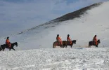 新春走基层丨骑马上天山，与中欧班列“守护人”踏雪同行