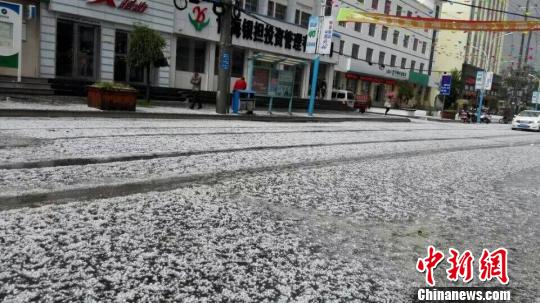 青海门源百里油菜花海局部遭冰雹袭击