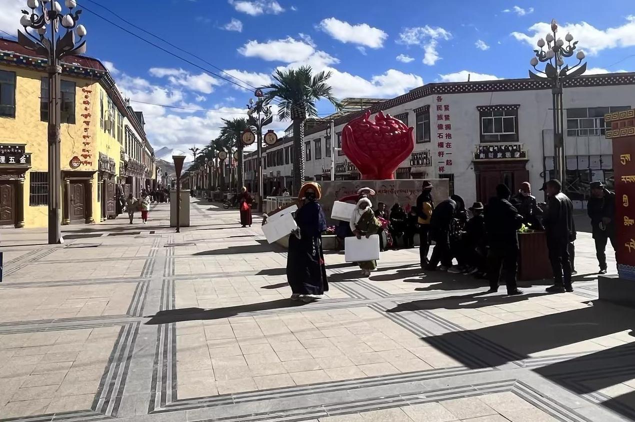 【石榴花开 籽籽同心】玉树曲麻莱：小城街道“石榴”红 民族团结一家亲