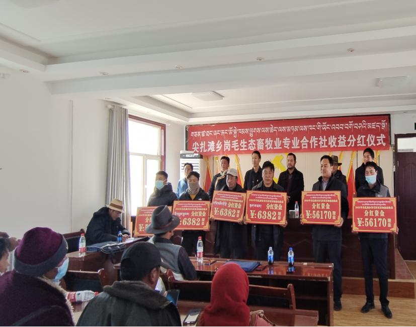 【石榴花开 籽籽同心】黄南尖扎：分红收益让村民“暖心”过冬