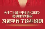 一图速读！习近平关于二十届三中全会《决定》的说明