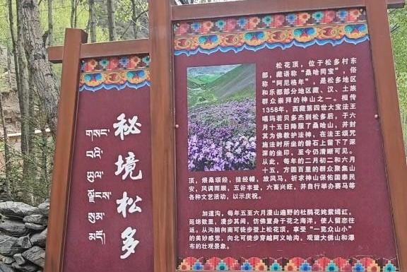 去松多藏乡 享生态之美