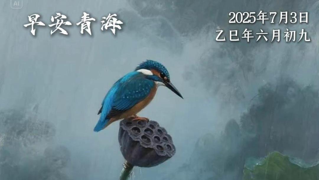 #早安青海 | 7月3日，星期四。愿你如翠鸟般敏锐果敢，捕捉生活中的每一份美好与机遇。