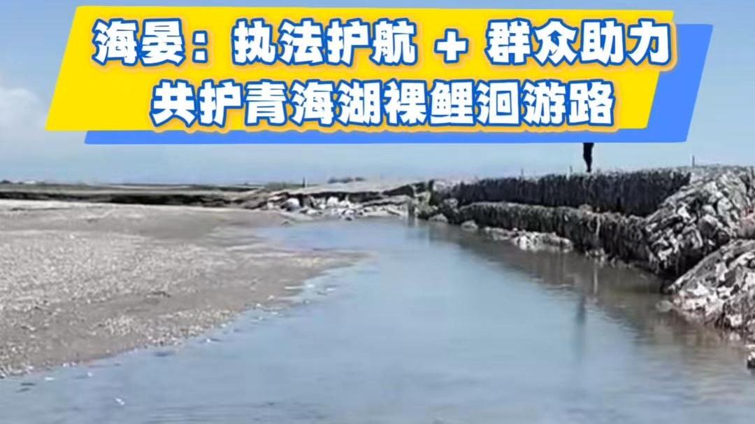 海晏：执法护航 + 群众助力 共护青海湖裸鲤洄游路