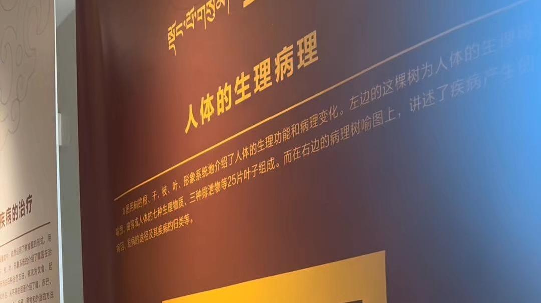 古老非遗引领健康新风尚