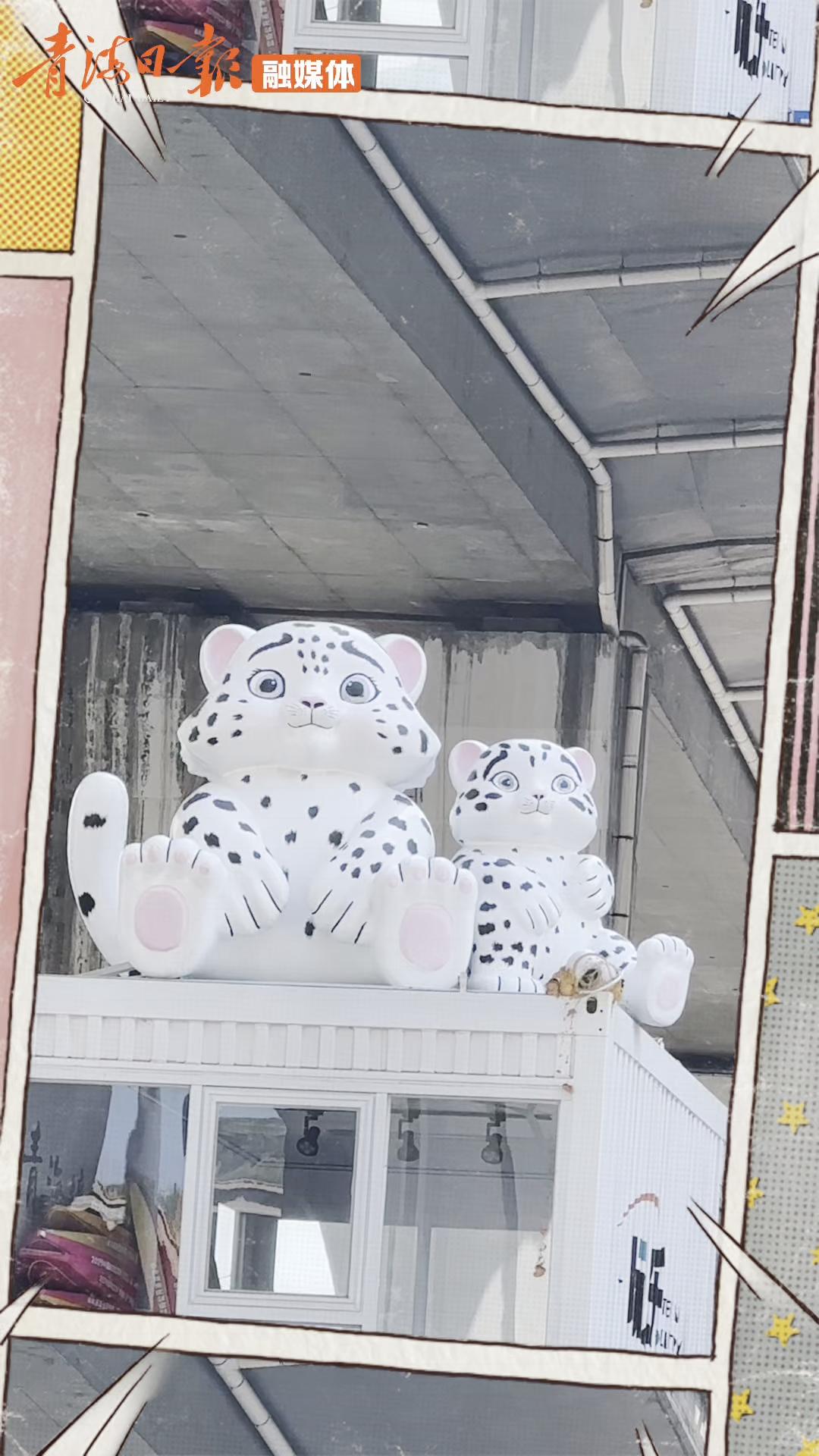 雪豹去哪了？