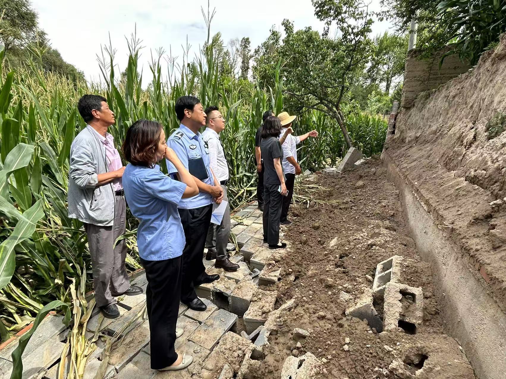 锲而不舍落实中央八项规定精神｜一棵守护“树” 四季好“风景”