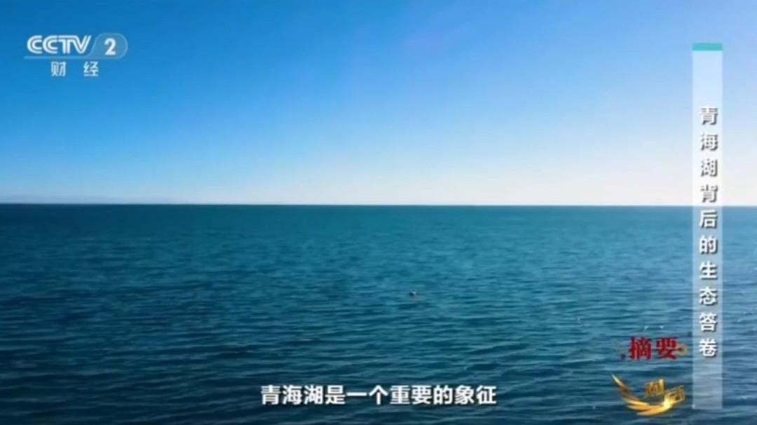 青海湖湟鱼“跃”证生态美